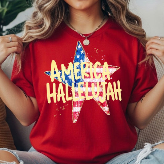 AMERICA TRANSFER