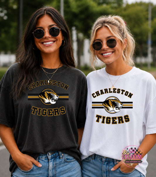 CHARLESTON TIGERS TRANSFER