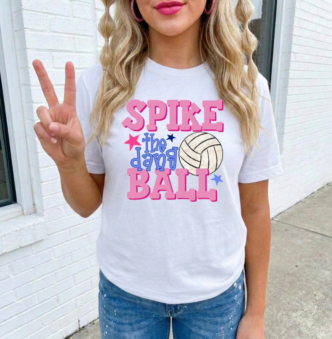 SPIKE THE DANG BALL TRANSFER