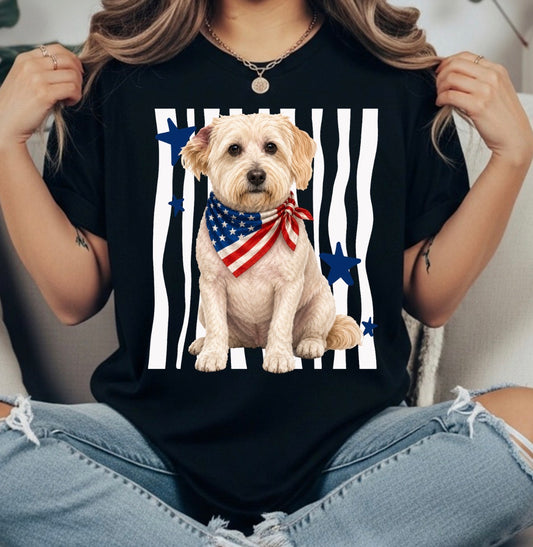 4TH OF JULY TRANSFER