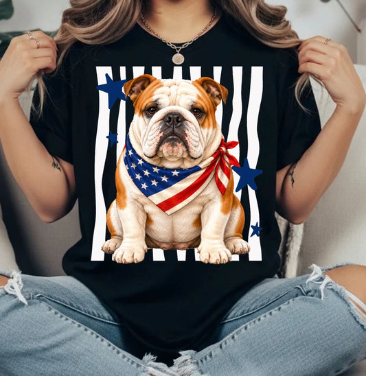 4TH OF JULY TRANSFER