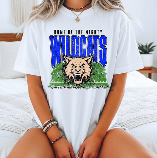 LIONS TRANSFER