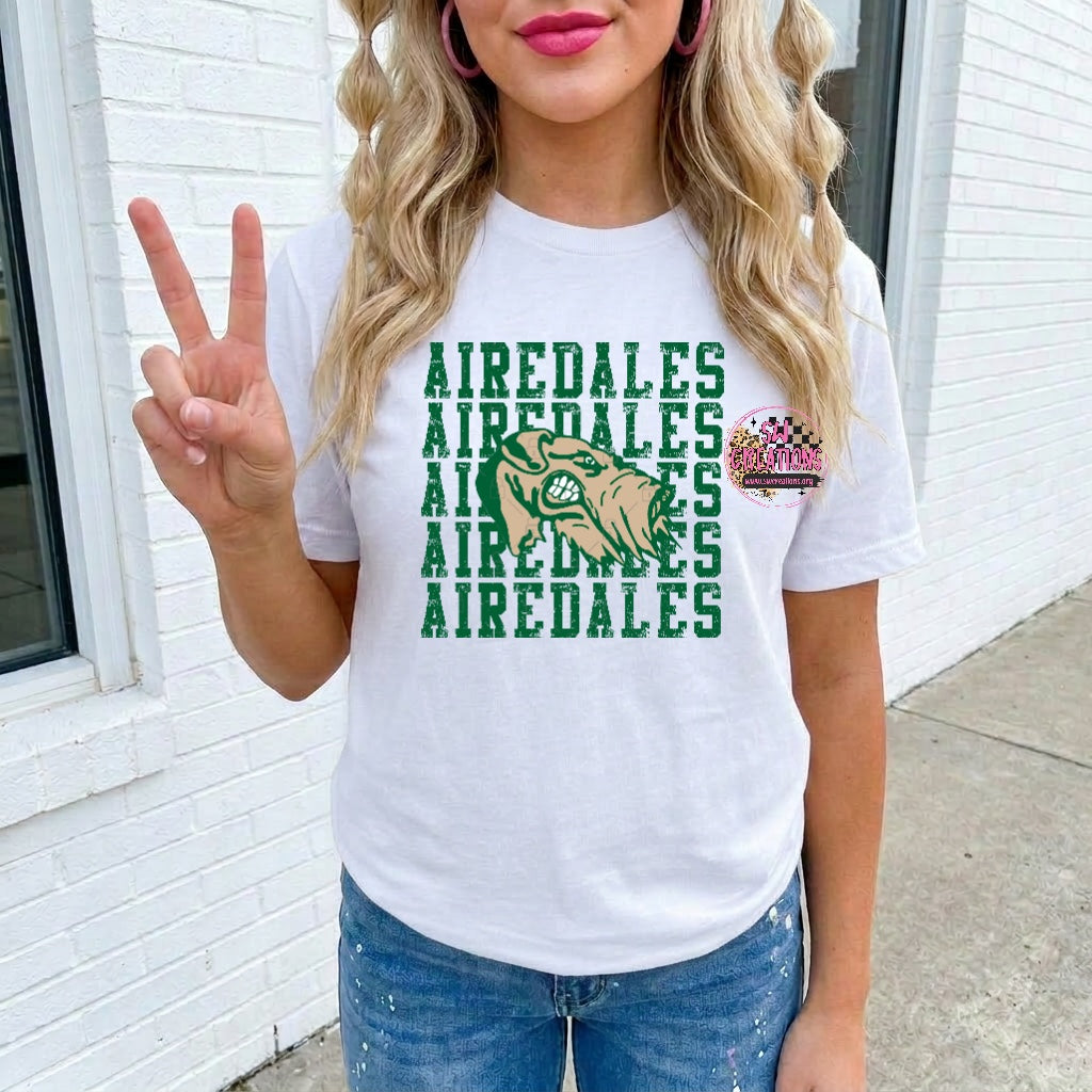 AIREDALES TRANSFER