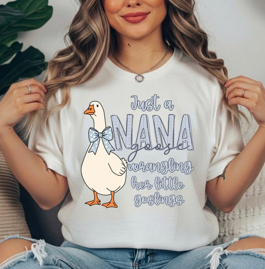 NANA TRANSFER