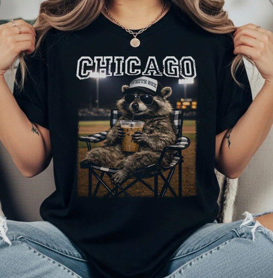 BASEBALL TRANSFER