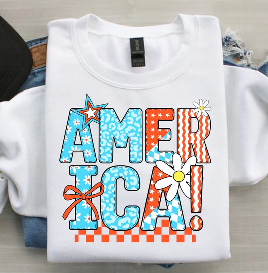 AMERICA TRANSFER