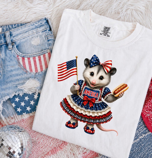 4TH OF JULY TRANSFER