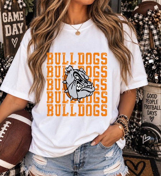 BULLDOGS TRANSFER