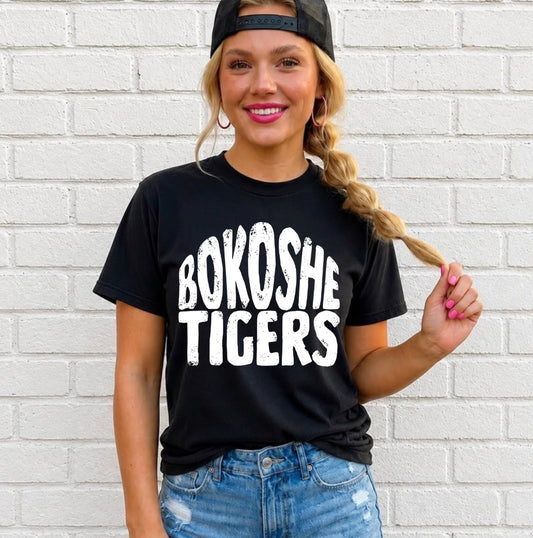 BOKOSHE TIGERS TRANSFER