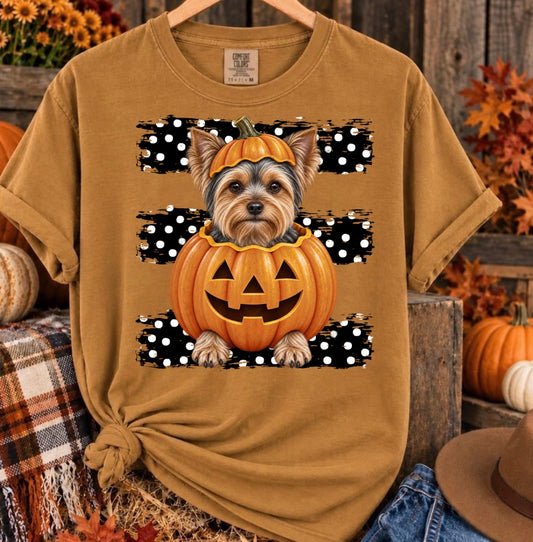 HALLOWEEN TRANSFER