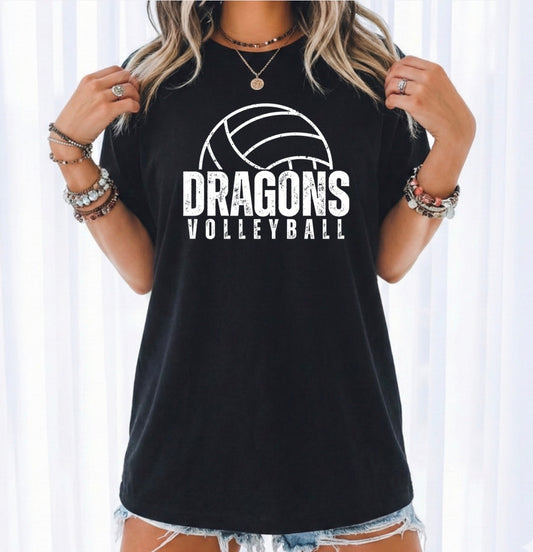 DRAGONS VOLLEYBALL TRANSFER