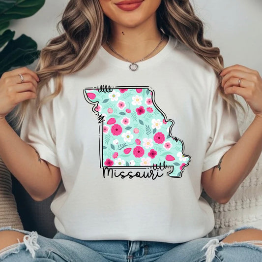 MISSOURI TRANSFER