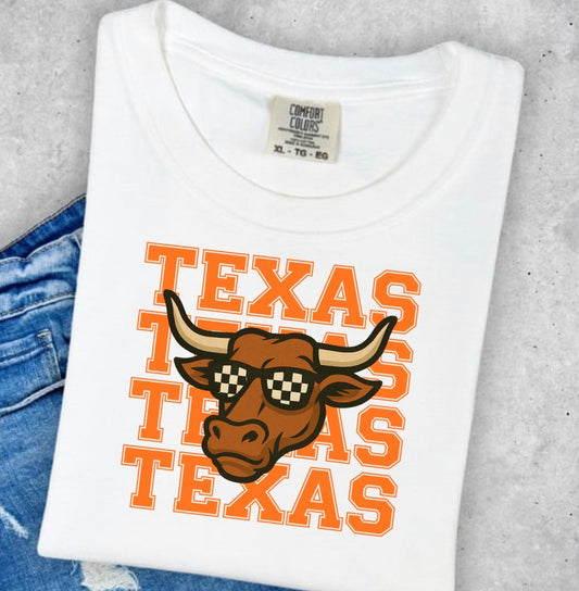 TEXAS TRANSFER
