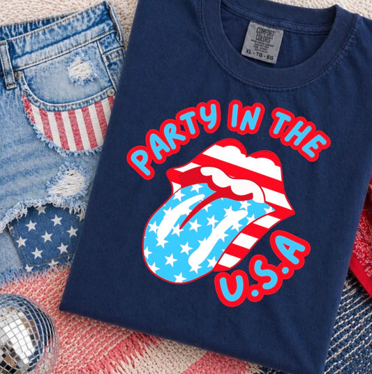 PARTY IN THE USA TRANSFER