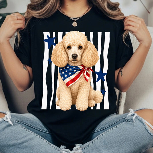 4TH OF JULY TRANSFER