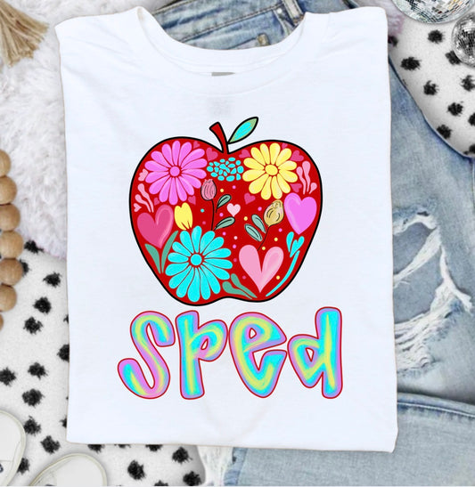 SPED TRANSFER