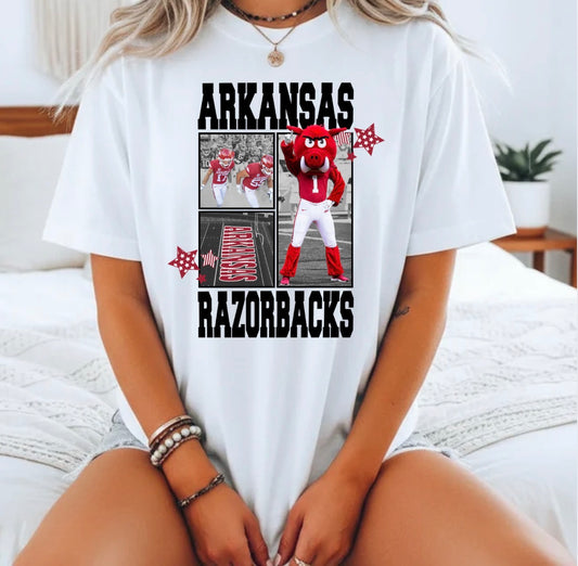 ARKANSAS TRANSFER