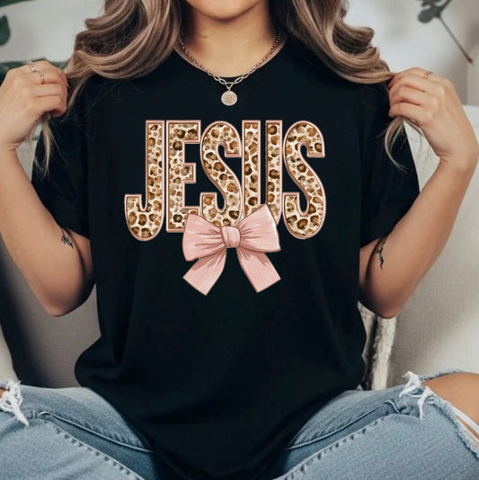 JESUS TRANSFER