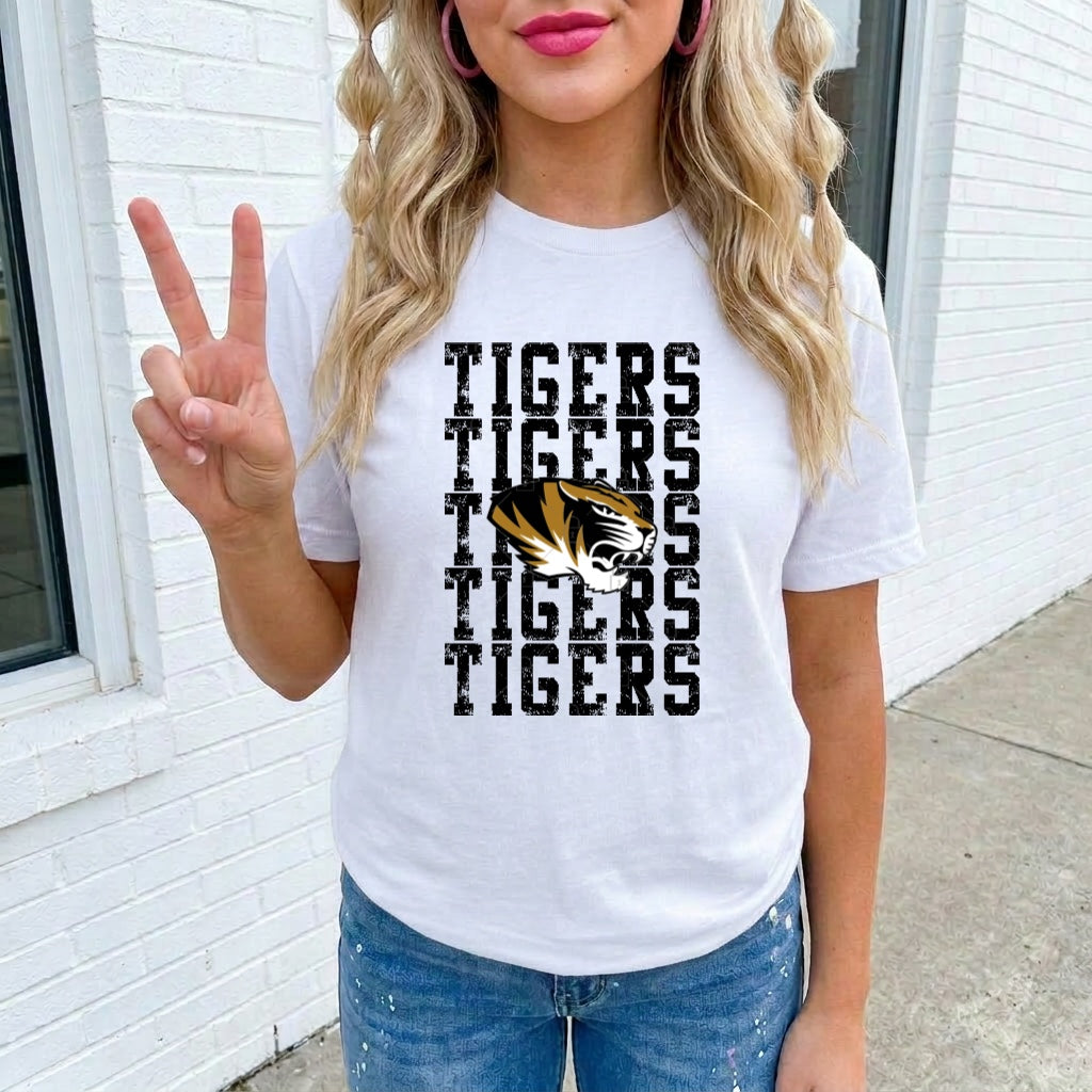 TIGERS TRANSFER