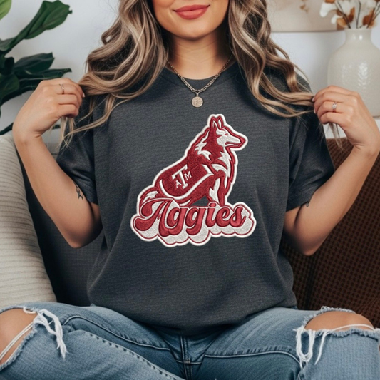 SPORTS TEAM TRANSFER
