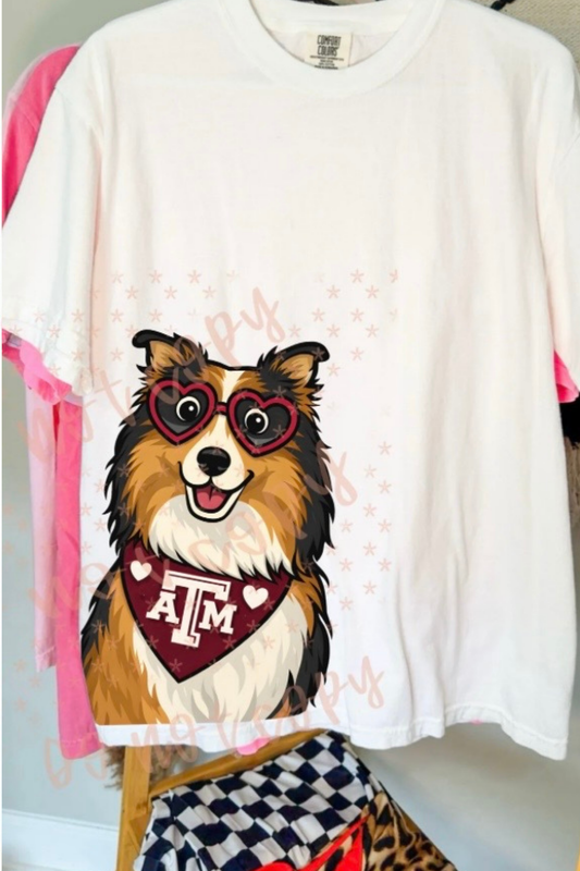 MASCOT TRANSFER