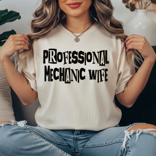 PROFESSIONAL TRANSFER