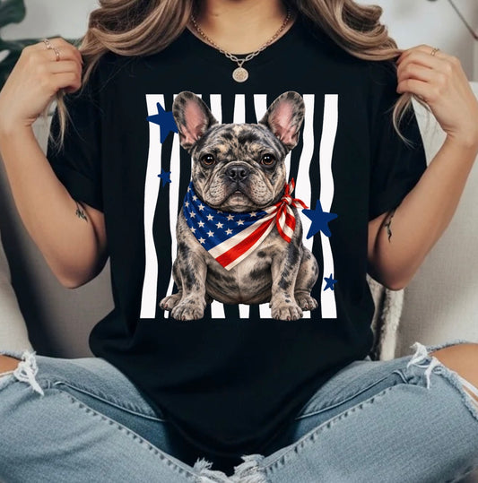 4TH OF JULY TRANSFER