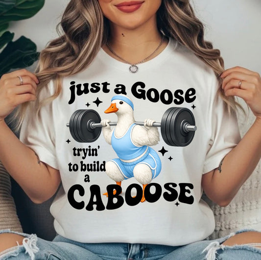 FITNESS TRANSFER