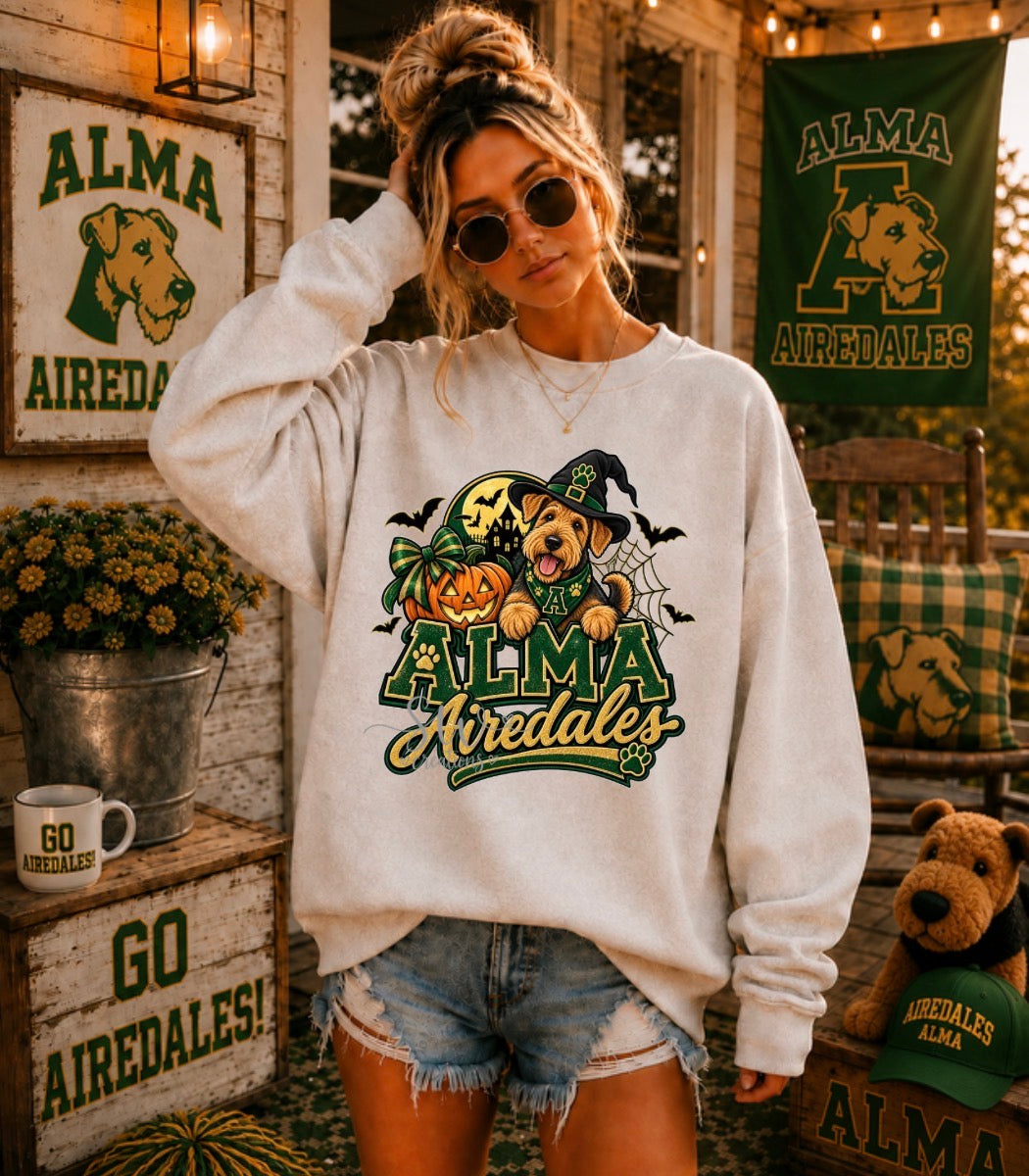 AIREDALES TRANSFER