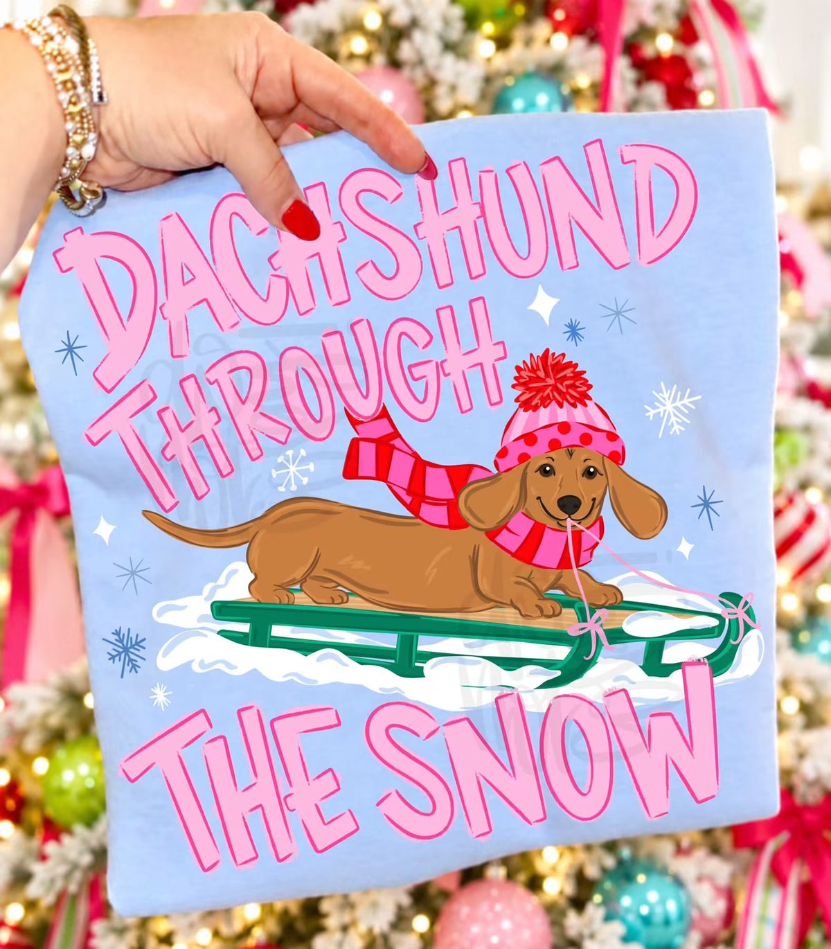 DACHSHUND TRANSFER