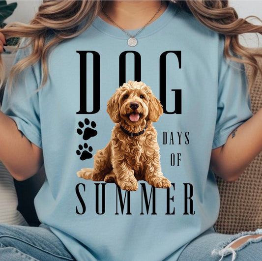 DOG DAYS TRANSFER