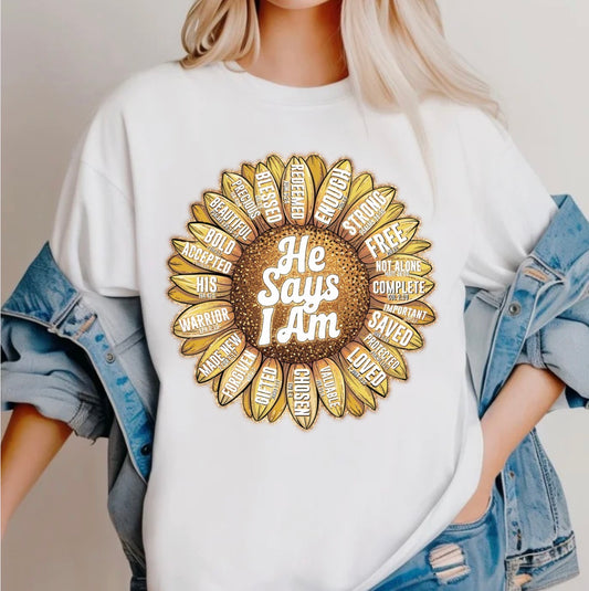 HE SAYS I AM TRANSFER