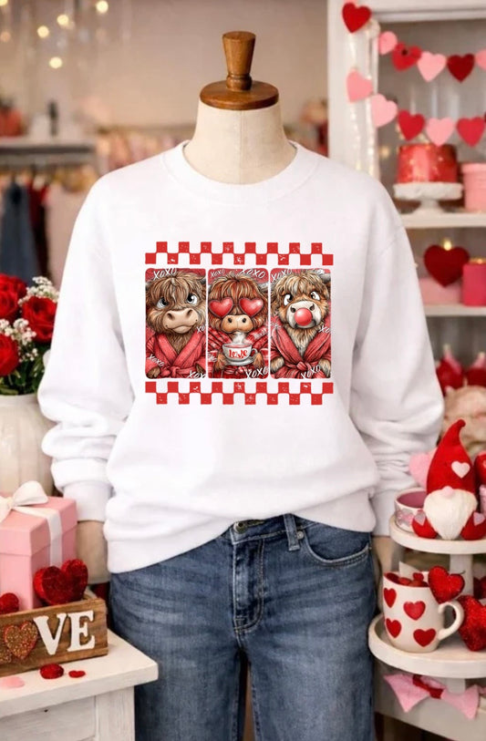 VALENTINES DAY TRANSFER